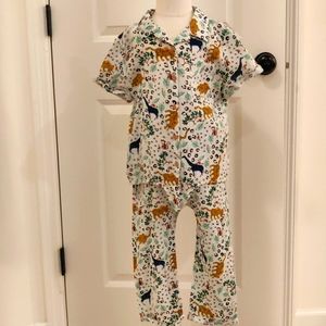 New!Art Class Girls Safari Animal Graphic Top Ties Waist & Pants Set Cottagecore